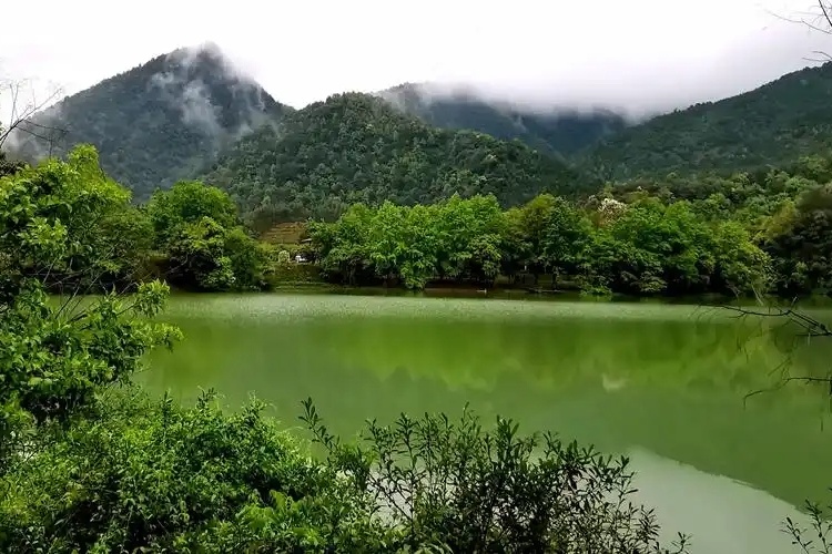 Lingxi River Forest Park